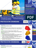 Protección Craneana