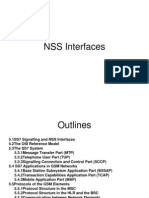 NSS Interfaces