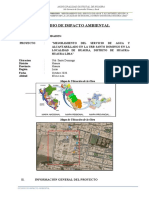 10.1 ESTUDIO IMPACTO AMBIENTAL SANTO DOMIN OK 