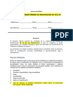 Plantilla Informe Validacion