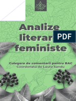 Analize Literare Feministe Final1 1