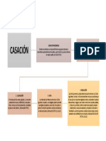 Recurso de Casación en Materia Pcym