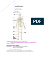 Sistem Locomotor.doc