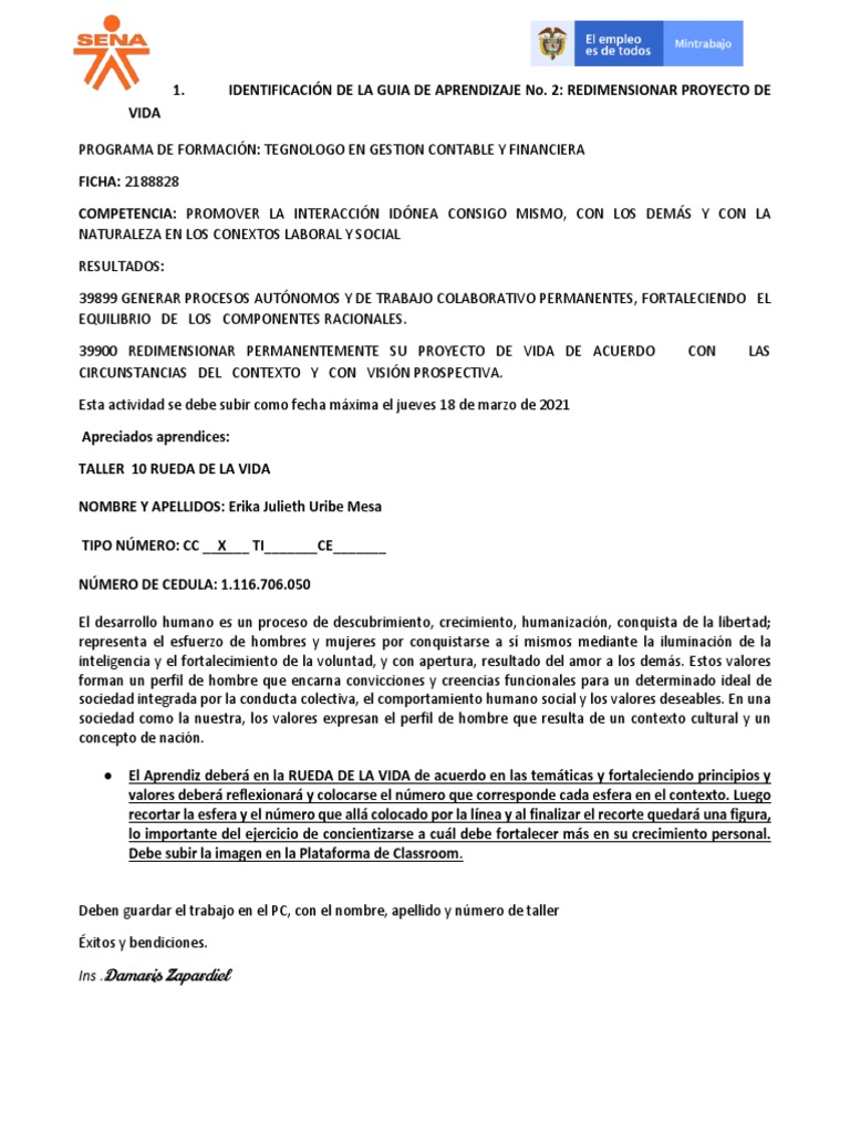 Taller N°10 Rueda de La Vida - Erika Julieth Uribe Mesa | PDF