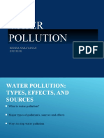 Water Pollution