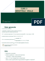 Curs 3.1. AMG. PE in Hepatitele Virale