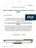 Sistema Registro Nacional de Medidas Correctivas RNMC