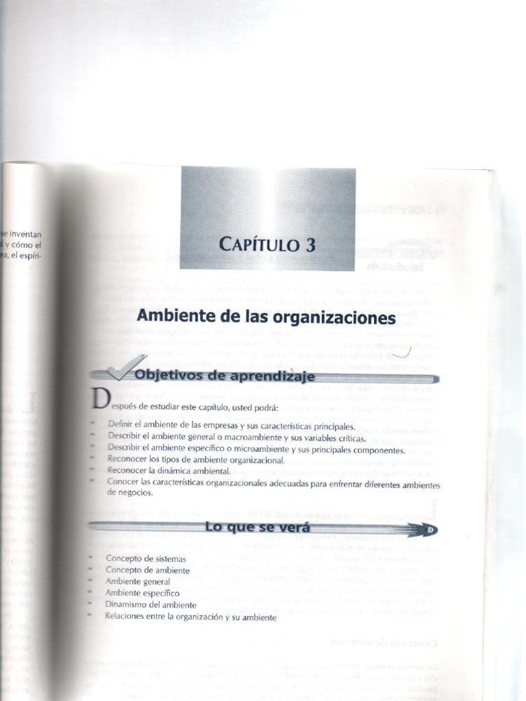 Chiavenato Cap 3 Pdf