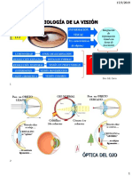 SN5 Visión Retina Proc Vis 2019