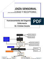 SN3 Sensibilidad y Receptores DR Acosta 2019