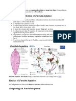 History and Distribution of Fasciola Hepatica