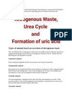 Types of Animal-Based On Excretion of Nitrogenous Waste: Aminotelic Animals