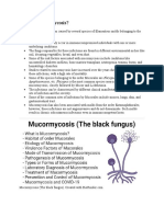 What Is Mucormycosis?: Apophysomyces, Etc. Rhizopus Is The Most Common Species Associated With