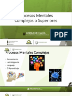 Procesos Mentales Complejos PDF