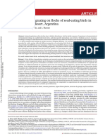 Zarco Et Al 2019 Flocks Grazing