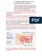 Fisiología y Significación Clínica de Los