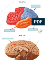 Evaluación de Neuroanatomía
