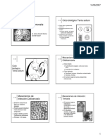 Neurocisticercosis_6xp_byn