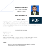 Perfil laboral Fernando Guzmán