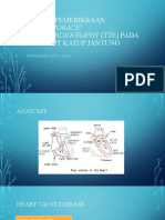 TTE Pada Stenosis Aorta