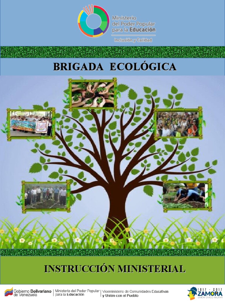 Funciones de la Brigada Ecológica Escolar | PDF | Venezuela ...