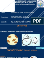 Práctica 10. Diagnóstico de Trichuris Trichiura