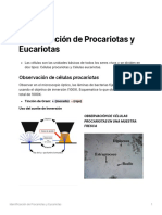 Identificacin de Procariotas y Eucariotas