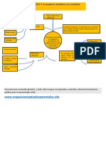 Mapa Conceptual Plantilla 17