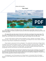 Raja Ampat's Natural Beauty and Biodiversity