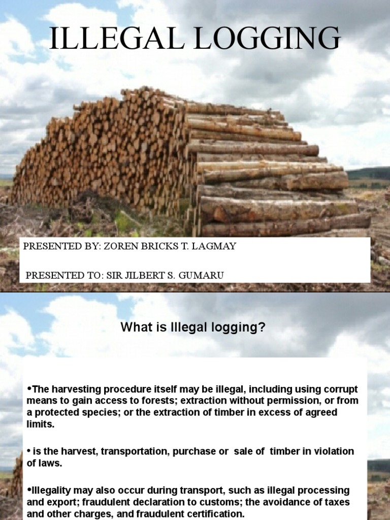 Understanding Illegal Logging and Its Impact | PDF | Logging ...
