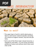 Soil Degredation