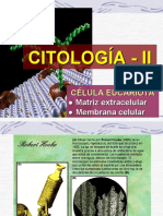 Citologia II