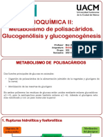 Glucogenólisis y Glucogenogénesis