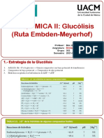 Glucólisis (Ruta Embden-Meyerhof)