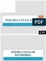 Injuria Celular Reversible - Acumulación Intracel CPP 2020