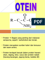Protein Analis