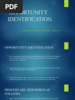 Opportunity Identification Report