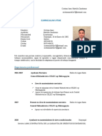 Curriculum Vitae-Cristian Martillo