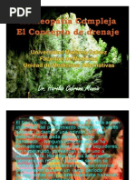 homeopatía compleja, el concepto de drenaje