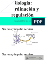 Biología - Coordinación y Regulación Drogas