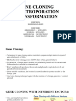 Gene Cloning Electroporation Transformation: Submitted To: Mam Dr. Farzana Shahin