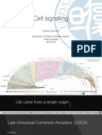 Cell Signaling