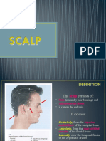 The Anatomy of the Scalp