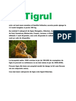 Tigrul