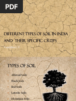 Different Types of Soil in India and Their Specific Crops