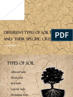 Different Types of Soil in India and Their Specific Crops