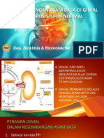 Keseimbangan Asam-Basa Di Ginjal