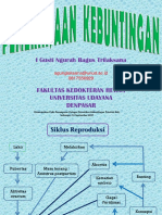 Ciri Ciri Perbaan Palpasi Rektal