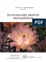 Plantas Del Monte Patagonico