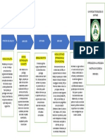 Evolución de los modelos de psicoterapia